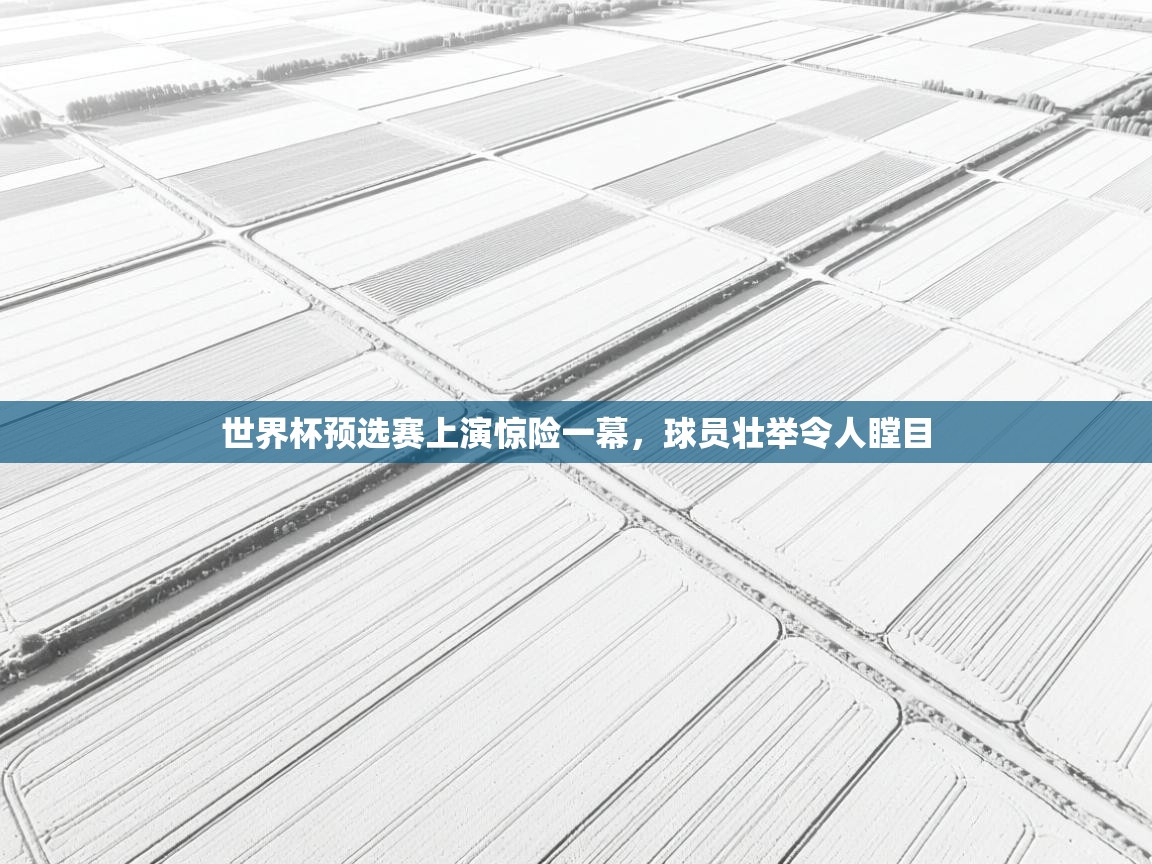 世界杯预选赛上演惊险一幕，球员壮举令人瞠目