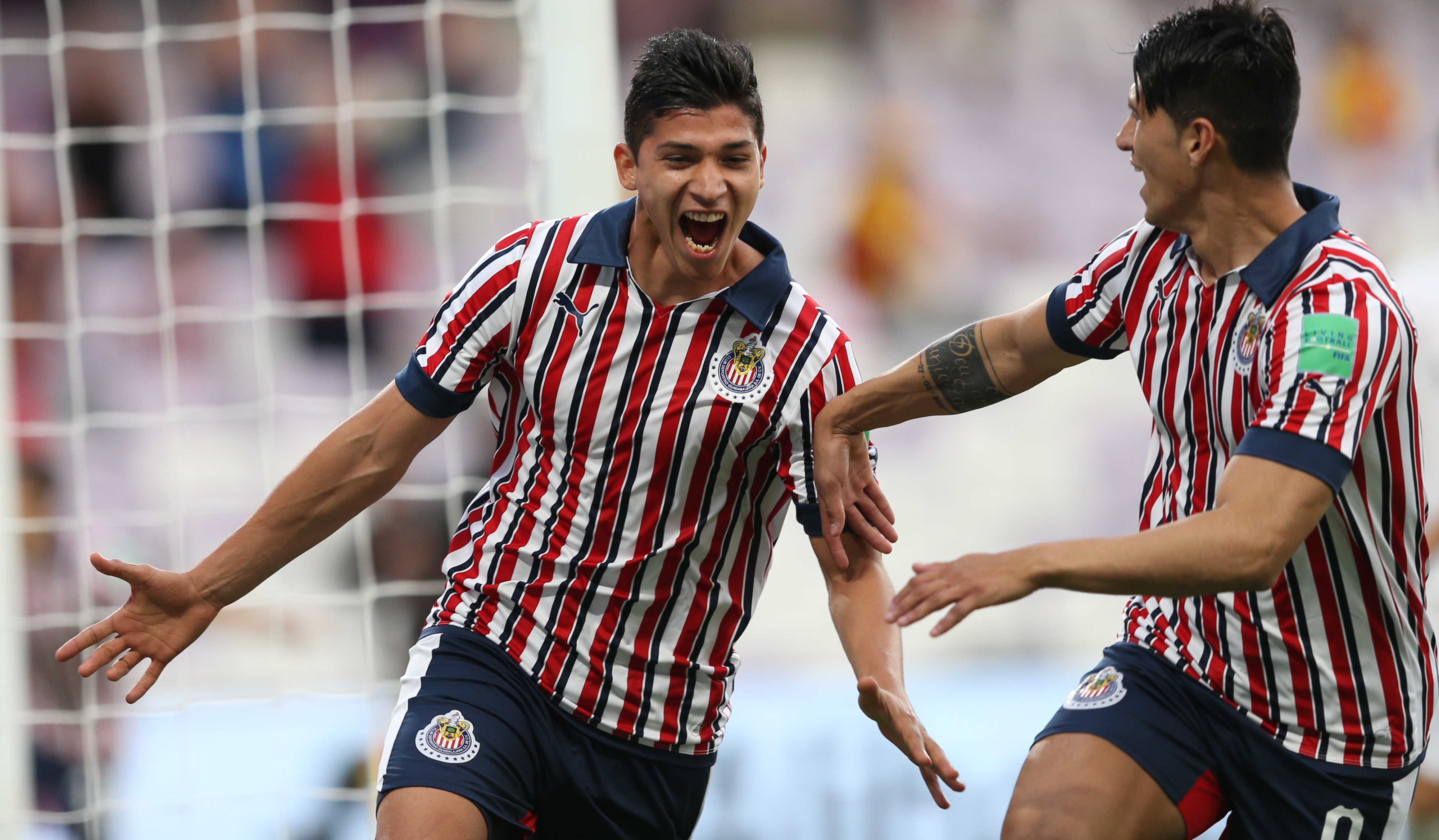 关于鹿岛鹿角队长发声，誓夺世俱杯冠军荣耀的信息