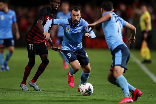 悉尼主场大胜东京，晋级希望重燃的简单介绍