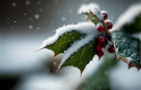 贝帅开局不如意，渴望改变命运